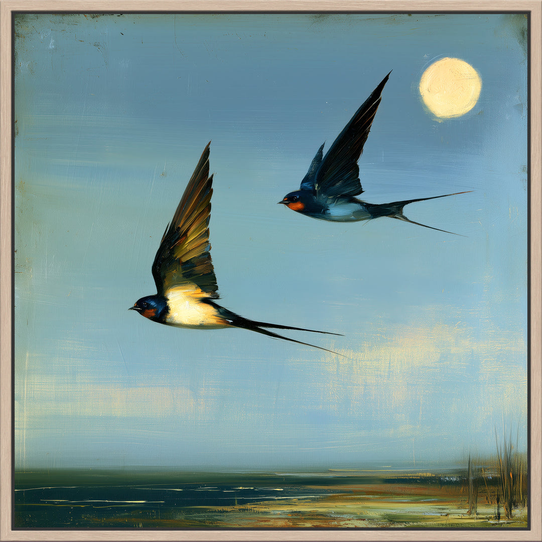Large Swallow Canvas Print