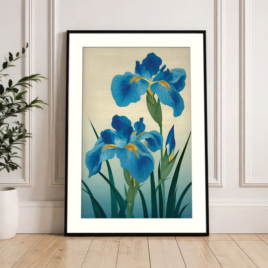 Blue Irises