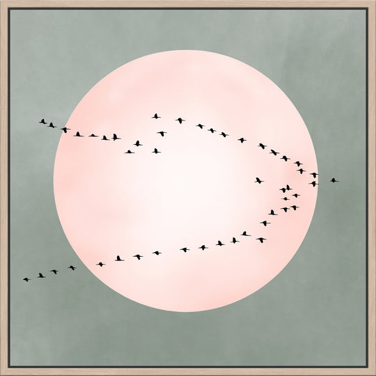 Blush Pink Moon