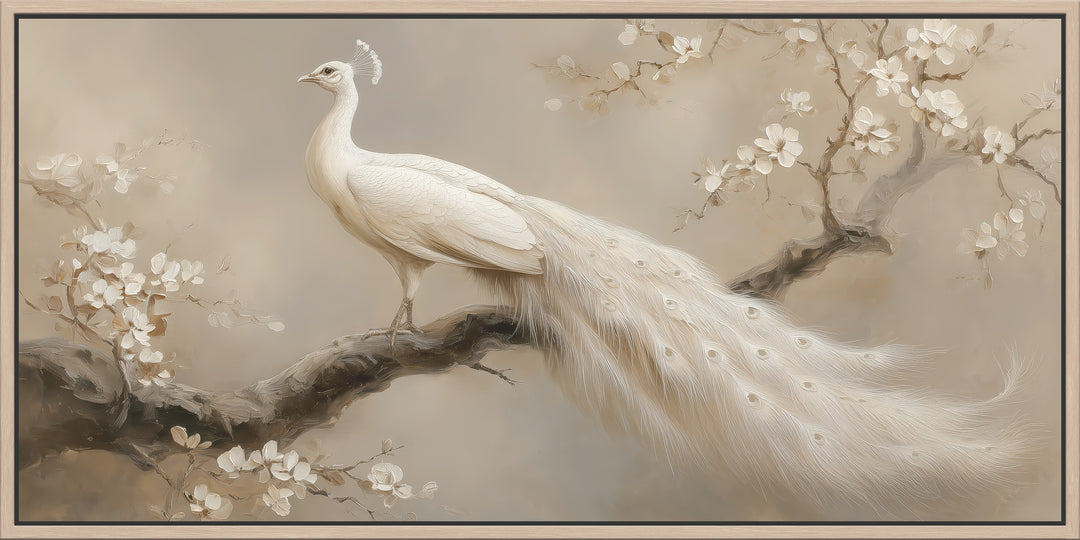 White Peacock Canvas Print