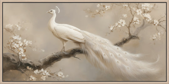 White Peacock Canvas Print