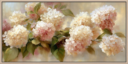 Blush Hydrangea Canvas Print