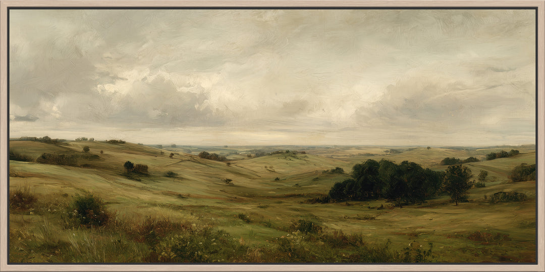 Large Open Countryside Canvas Print