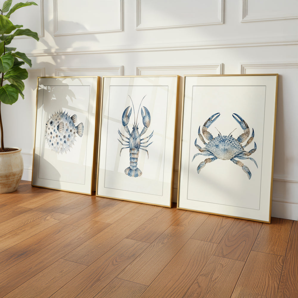 Blue Coastal Sea Life Wall Art Prints