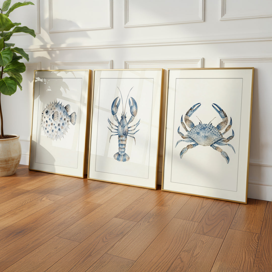 Blue Coastal Sea Life Wall Art Prints