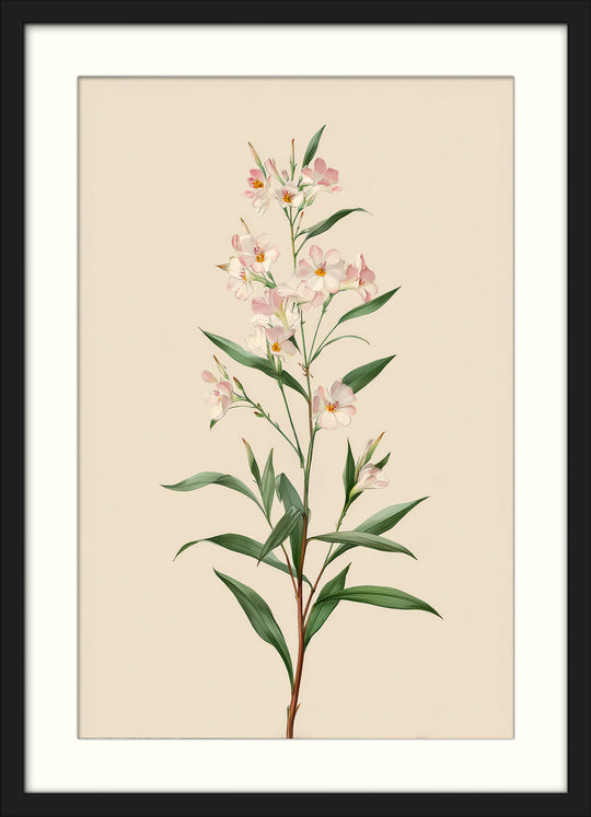 Botanical Wall Art Prints Set of 3