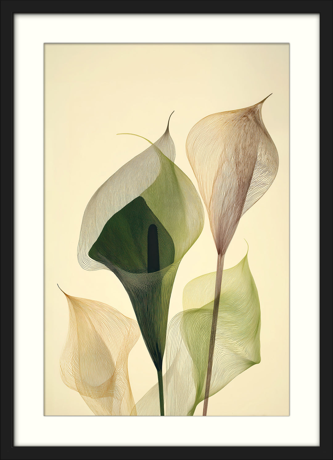 Calla Lily Wall Art Set of 2