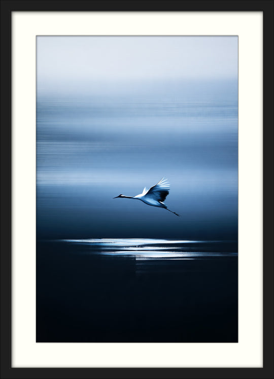 Blue Crane Wall Art Prints