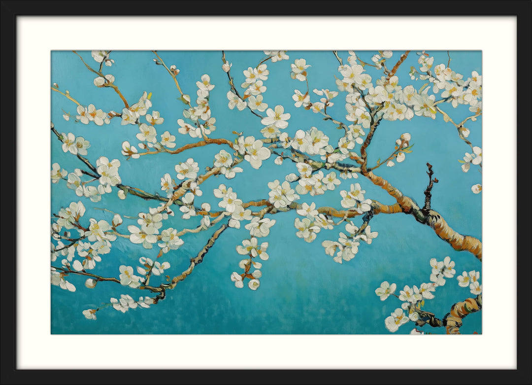 Almond Blossoms in Bloom