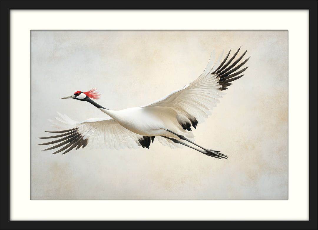 Red Crowned Crane Wall Art Print