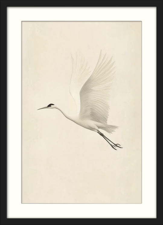 Flying White Crane Wall Art Print