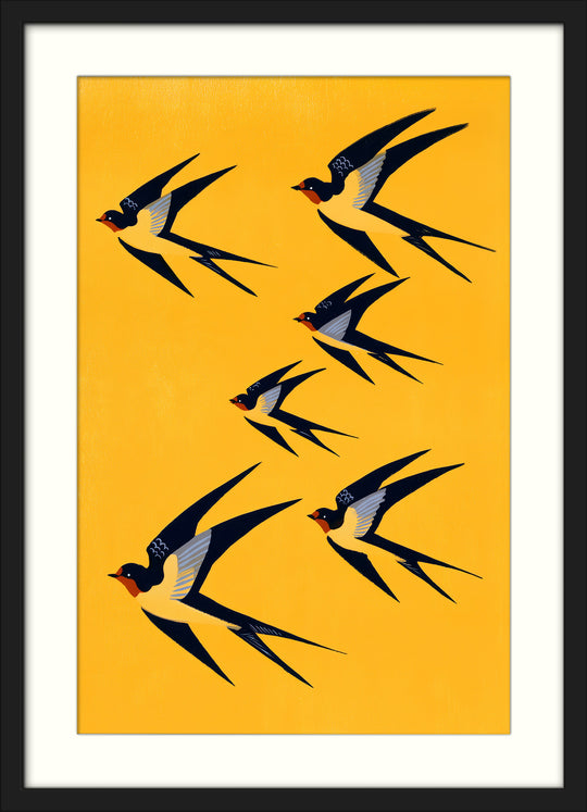 Swallow Bird Art Print