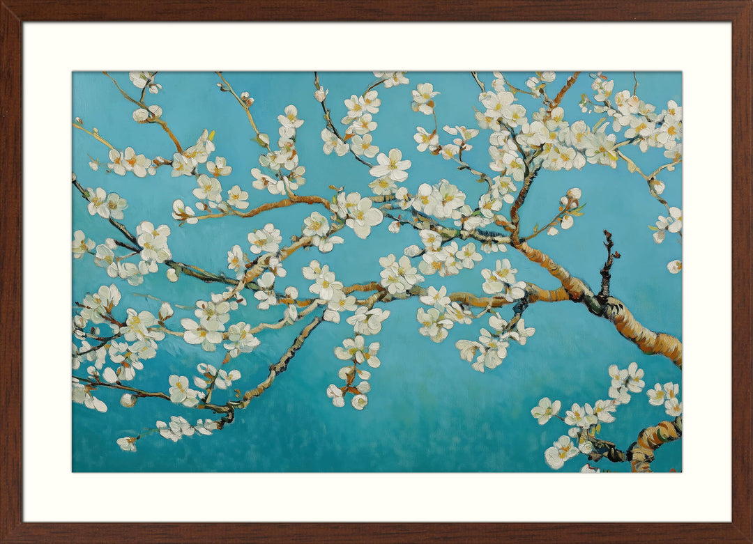 Almond Blossoms in Bloom