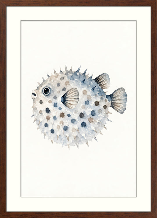 Blue Coastal Sea Life Wall Art Prints