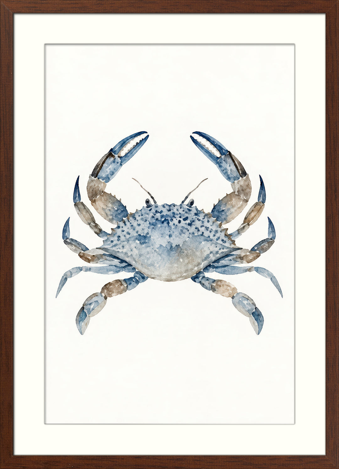 Blue Coastal Sea Life Wall Art Prints