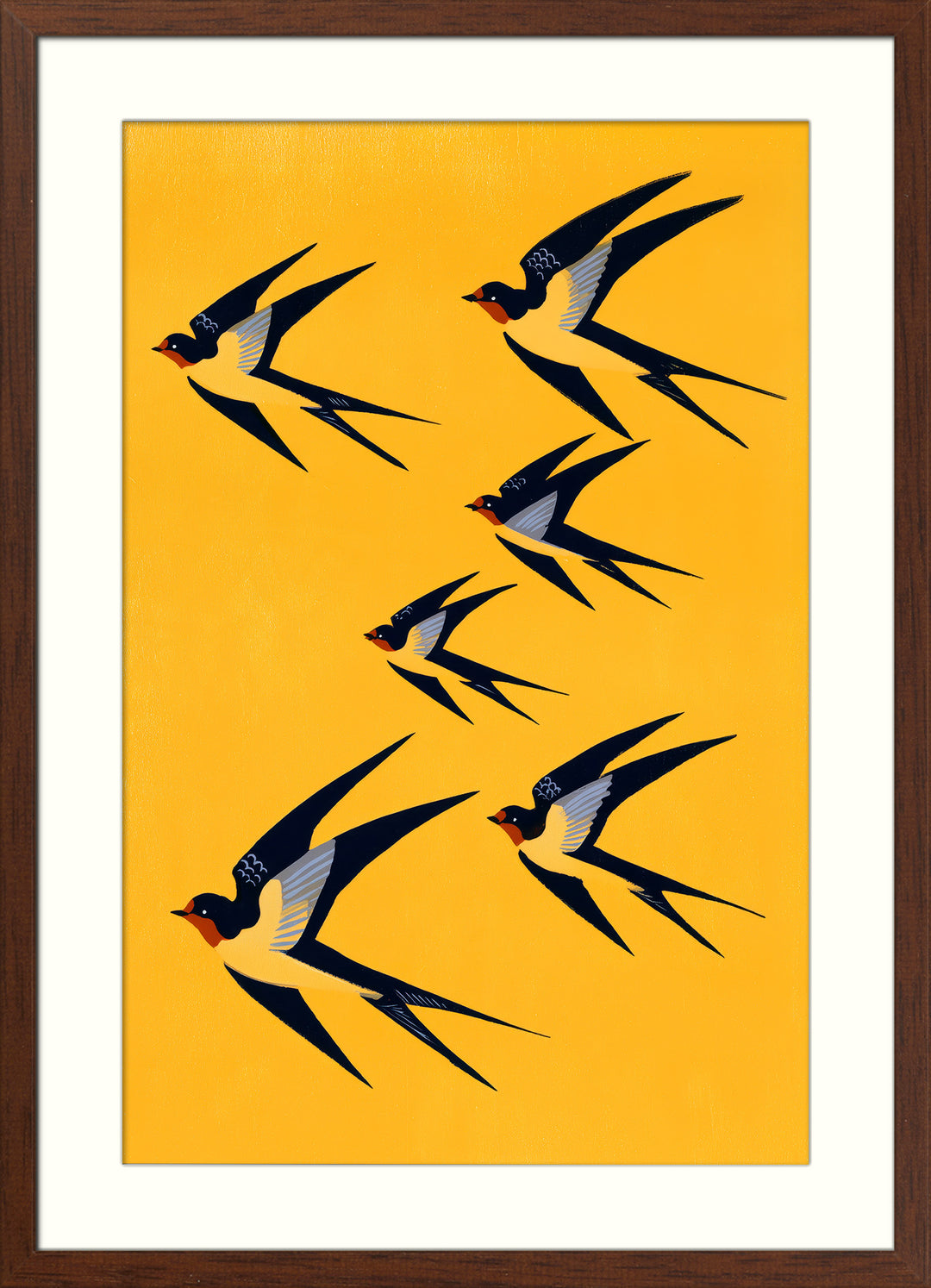 Swallow Bird Art Print