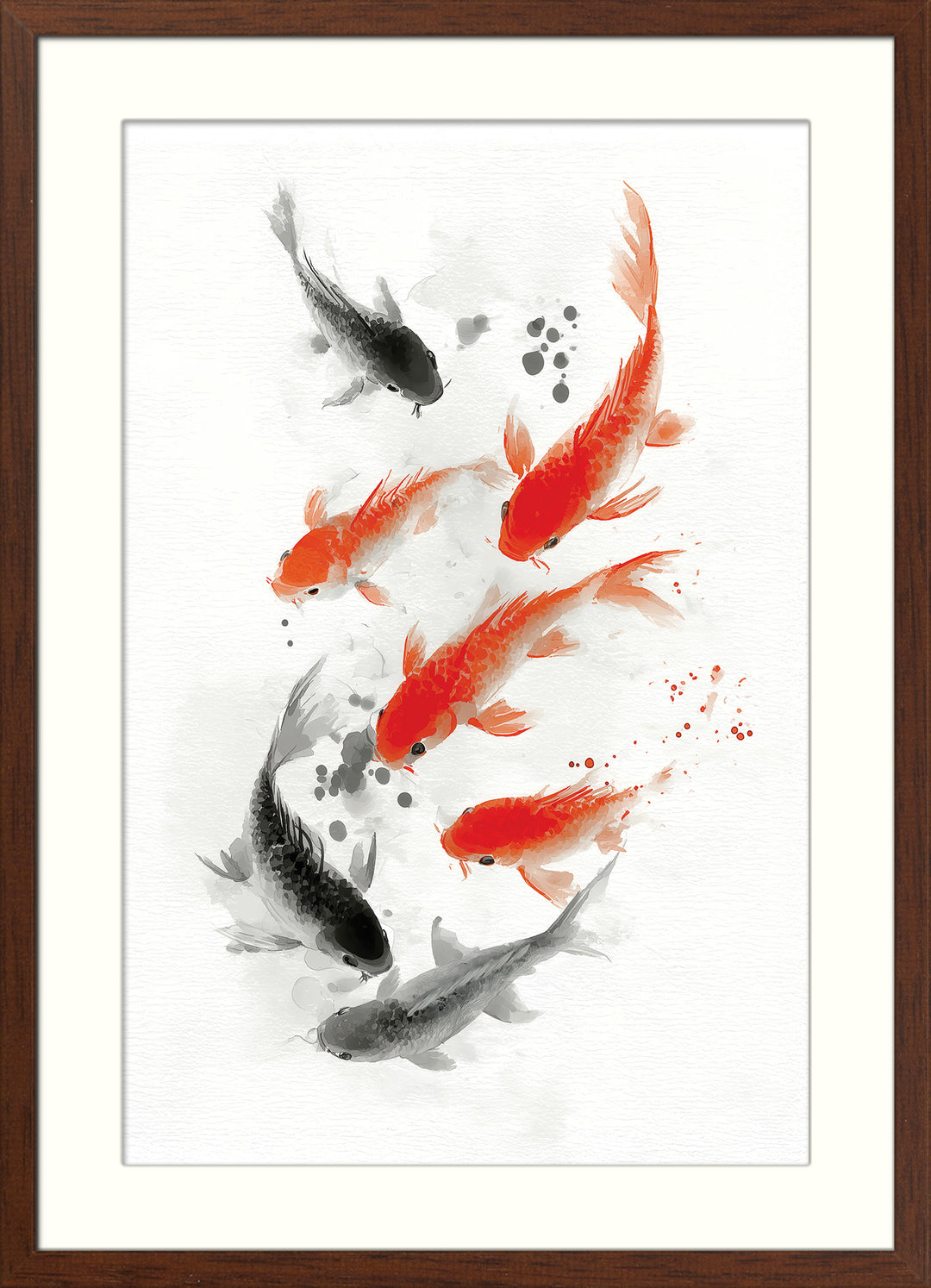 Koi Fish in Motion