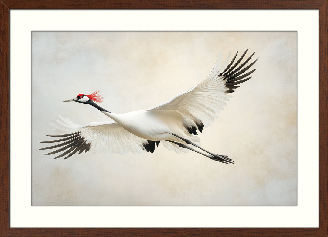 Red Crowned Crane Wall Art Print