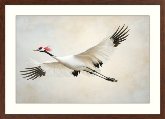 Red Crowned Crane Wall Art Print