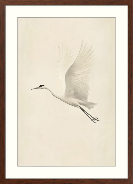 Flying White Crane Wall Art Print