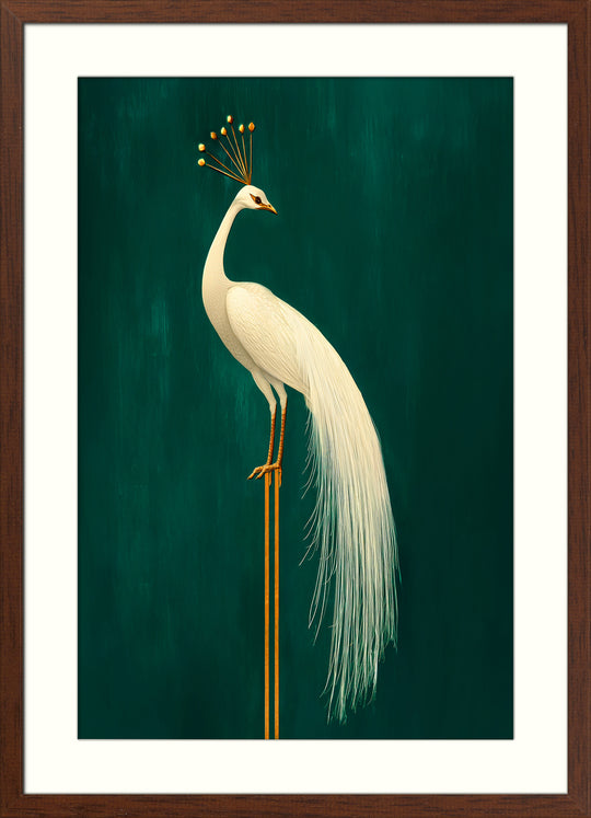 White Peacock Wall Art Print