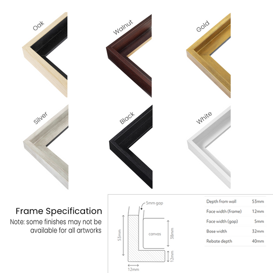 Frame colour chart showing oak, walnut, gold, silver, black and white canvas frames with floating frame specifications