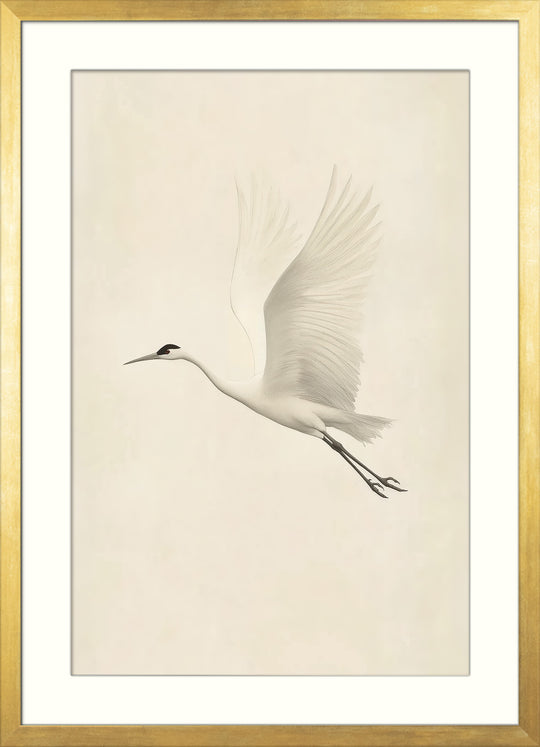 Flying White Crane Wall Art Print