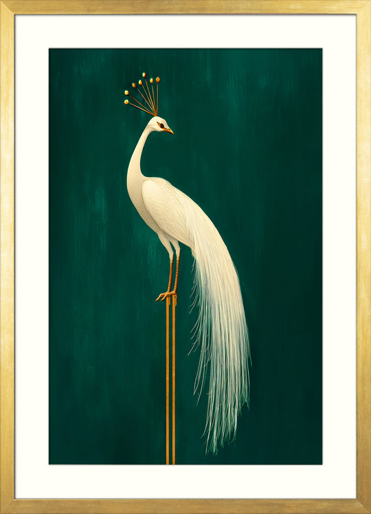 White Peacock Wall Art Print