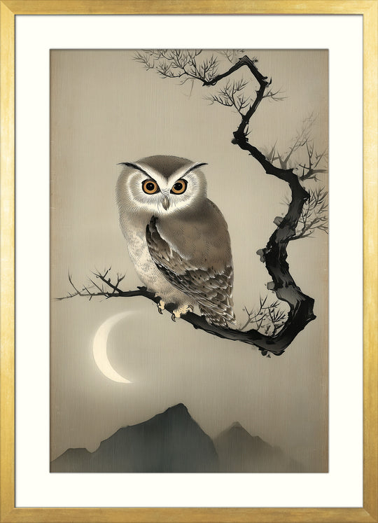 Owl Art Print