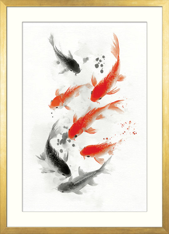 Koi Fish in Motion