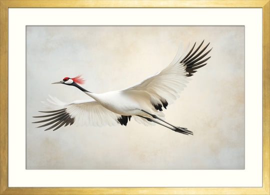 Red Crowned Crane Wall Art Print