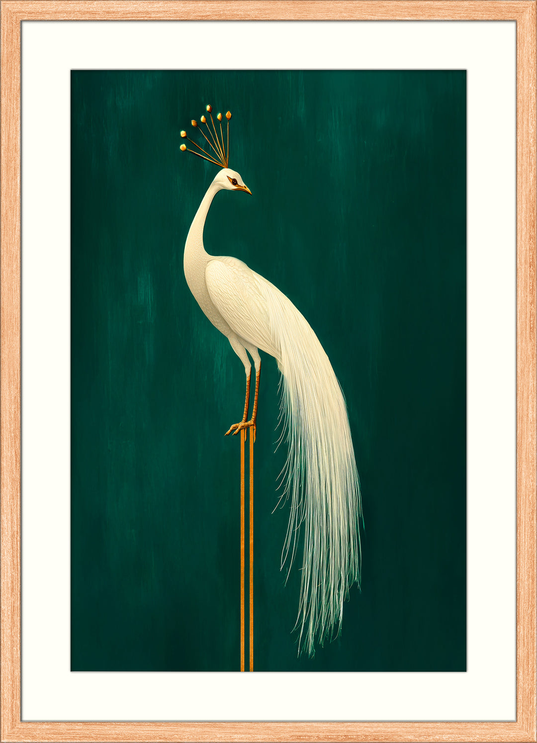 White Peacock Wall Art Print