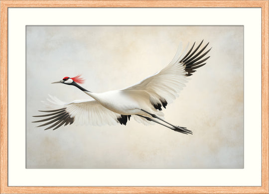 Red Crowned Crane Wall Art Print
