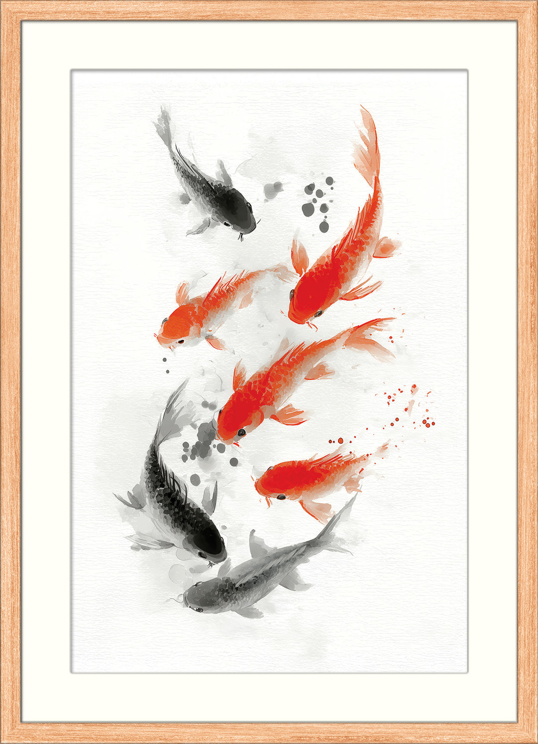 Koi Fish in Motion