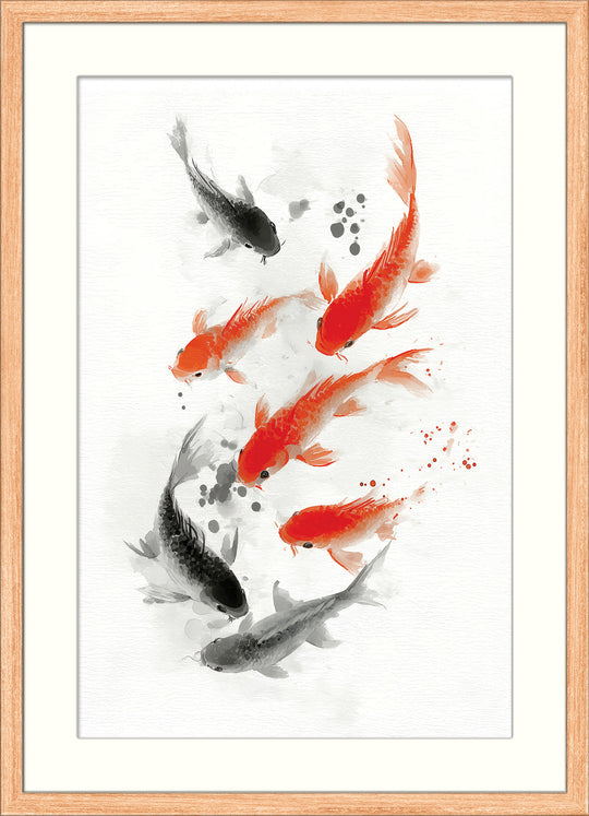 Koi Fish in Motion