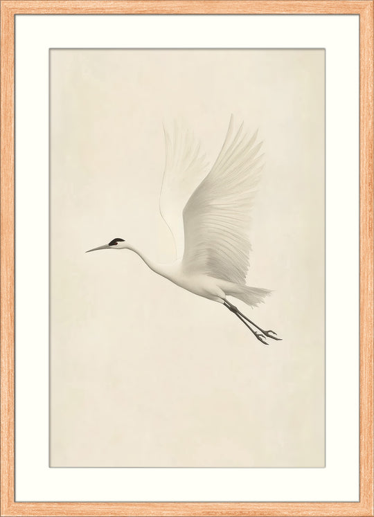 Flying White Crane Wall Art Print