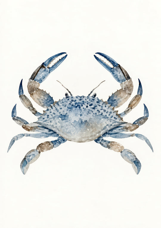 Blue Coastal Sea Life Wall Art Prints