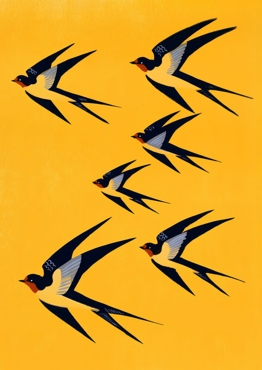Swallow Bird Art Print