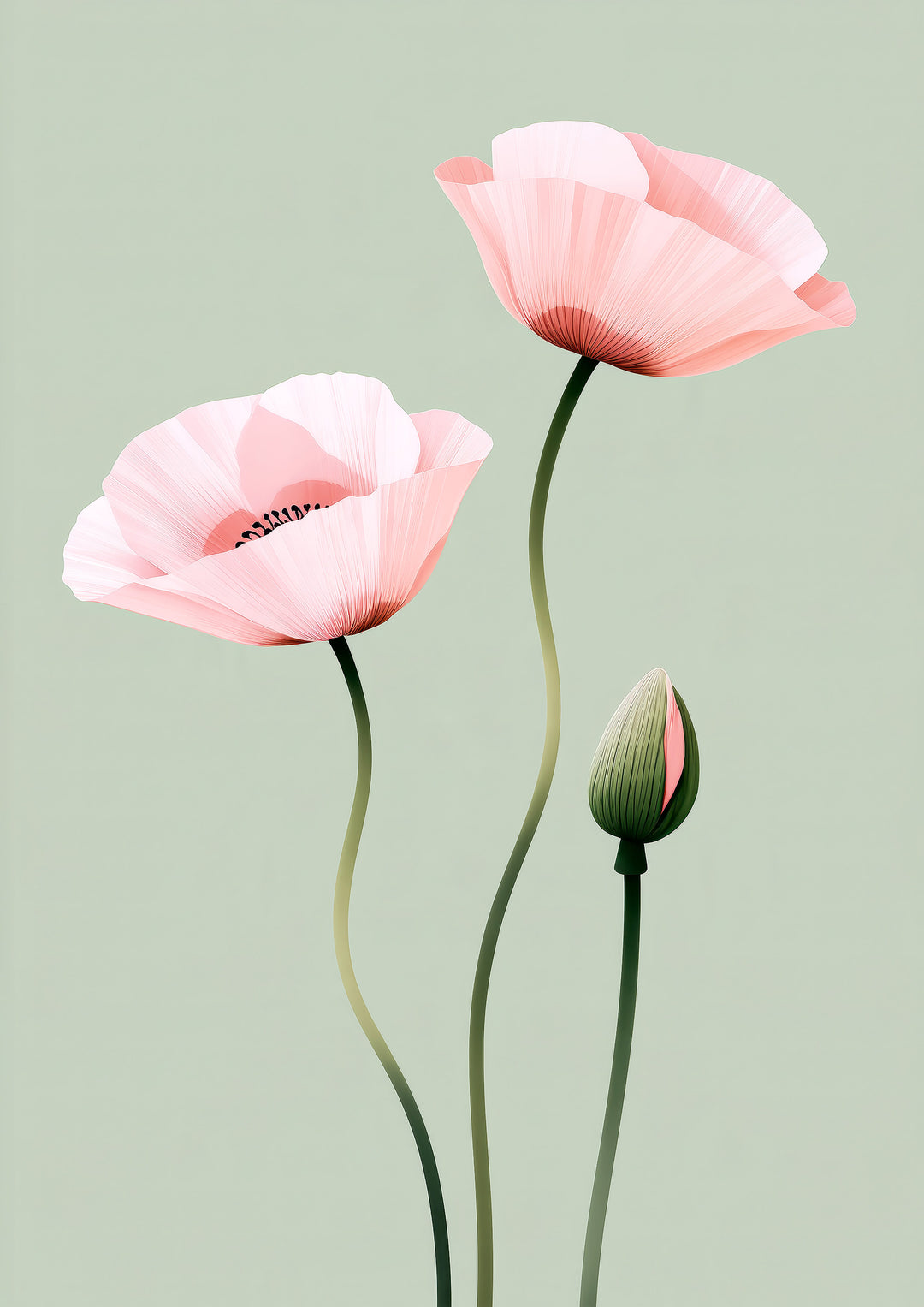 Pink Poppy Art Print