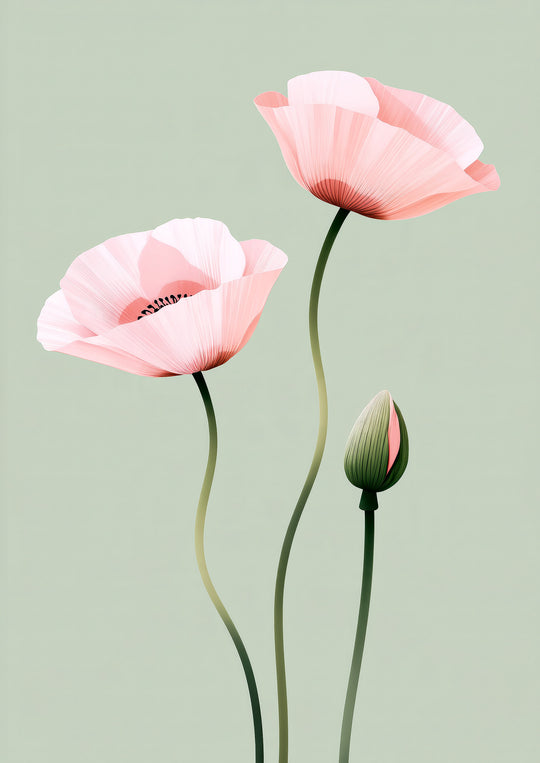 Pink Poppy Art Print