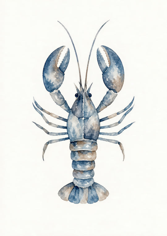 Blue Coastal Sea Life Wall Art Prints