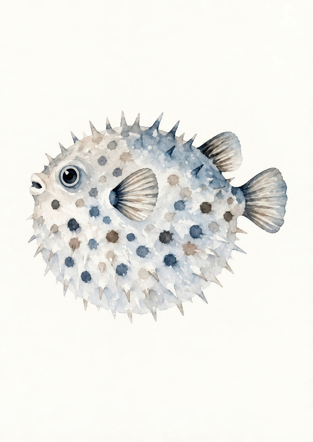 Blue Coastal Sea Life Wall Art Prints