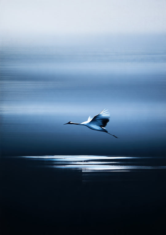 Blue Crane Wall Art Prints