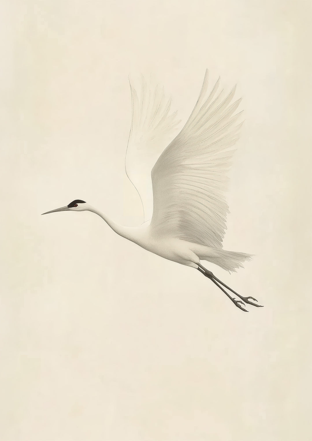 Flying White Crane Wall Art Print
