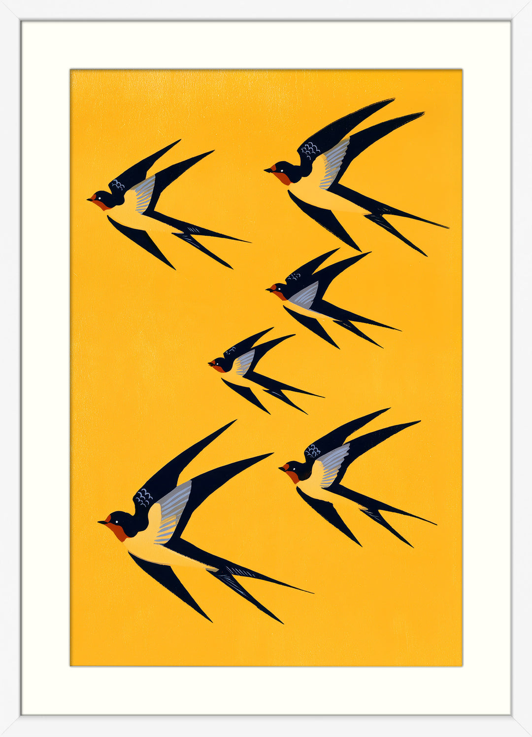 Swallow Bird Art Print