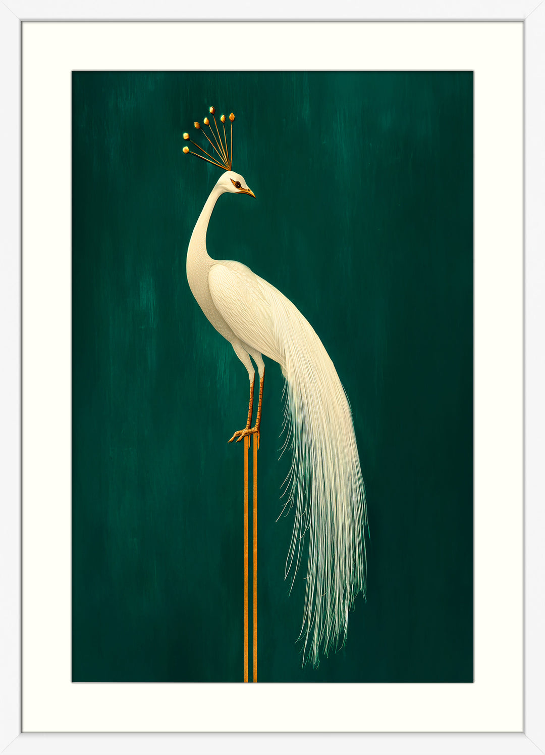 White Peacock Wall Art Print