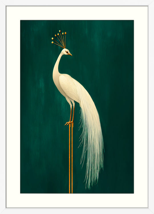 White Peacock Wall Art Print
