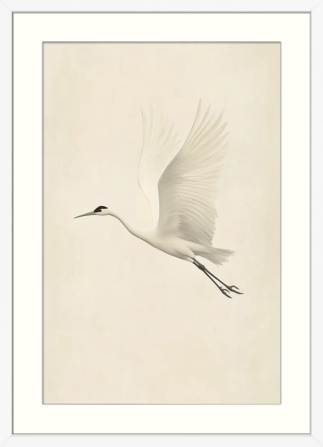 Flying White Crane Wall Art Print
