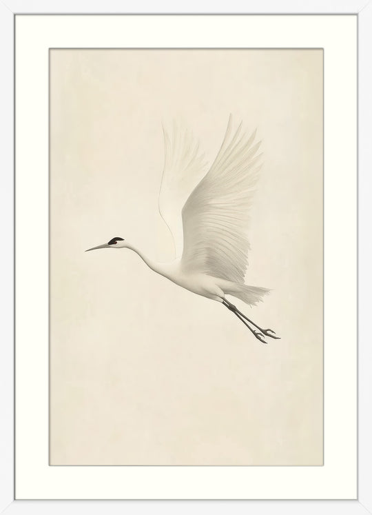 Flying White Crane Wall Art Print
