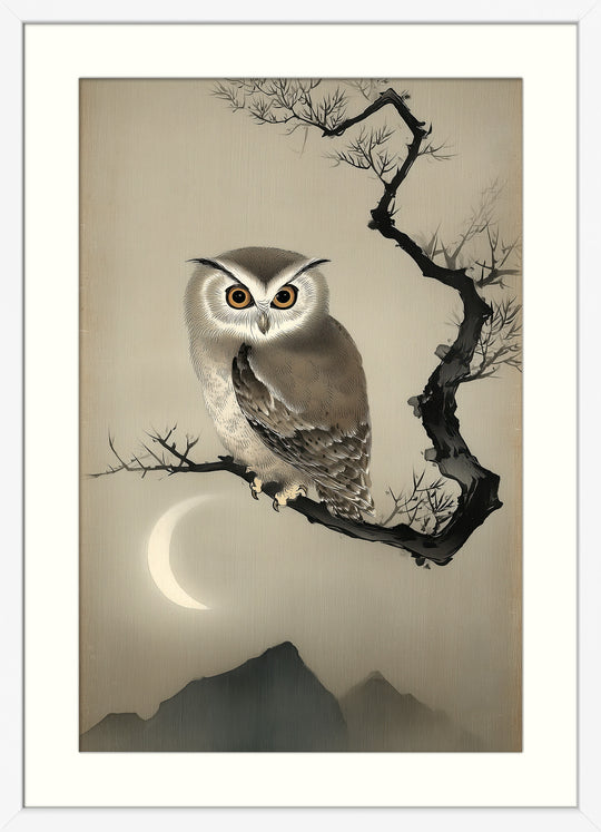 Owl Art Print
